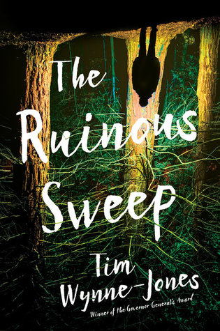 Review: The Ruinous Sweep by Tim Wynne-Jones