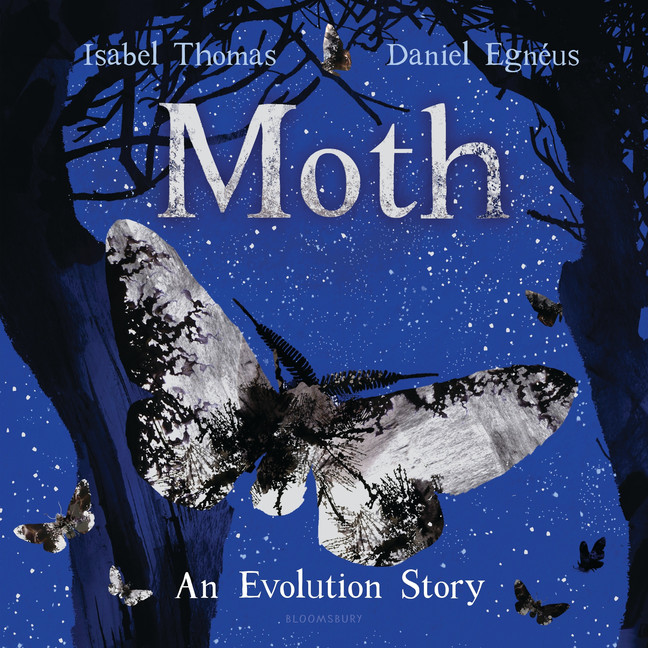 Reviews: Moth: An Evolution Story & Most of the Better Natural Things in the World