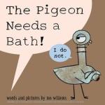 pigeonneedsbath