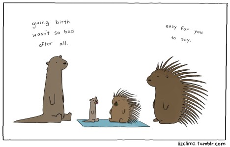 http://lizclimo.tumblr.com/post/55372617977/hey-guys-so-im-having-a-baby-and-in-an-effort