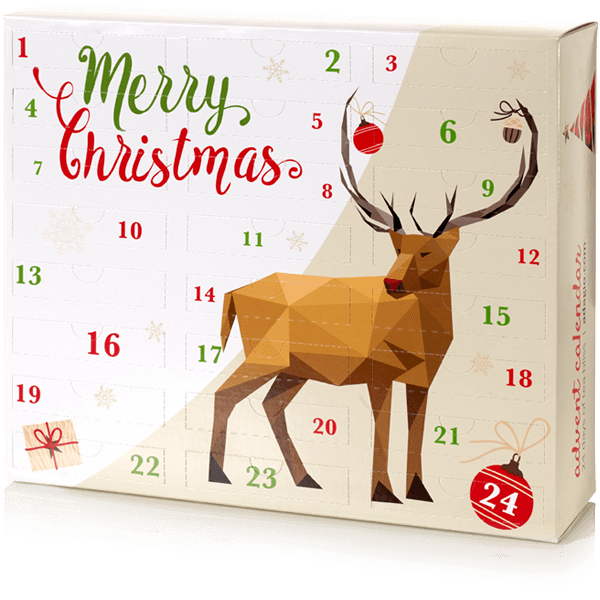 Tea Time…with Adagio Teas Advent Calendar!